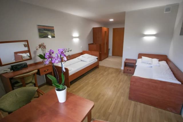 Sanatoria Busko-Zdrój Nida: Komfortowe leczenie i rehabilitacja dla każdego Sanatoria Busko-Zdrój Nida: Komfortowe leczenie i rehabilitacja dla każdego